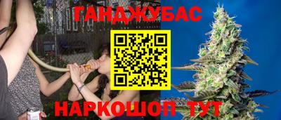 ешки Камышлов